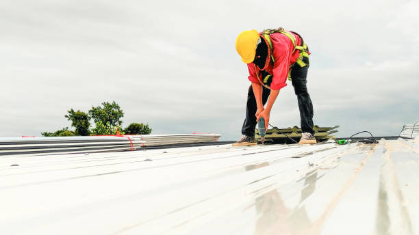Best Tile Roofing Installation  in Williamston, MI