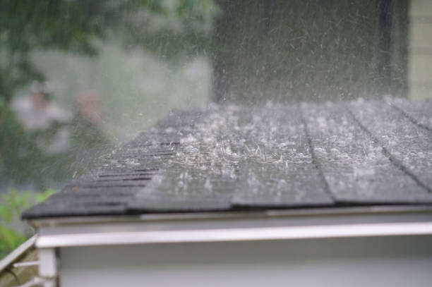 Best Wood Shake Roofing  in Williamston, MI